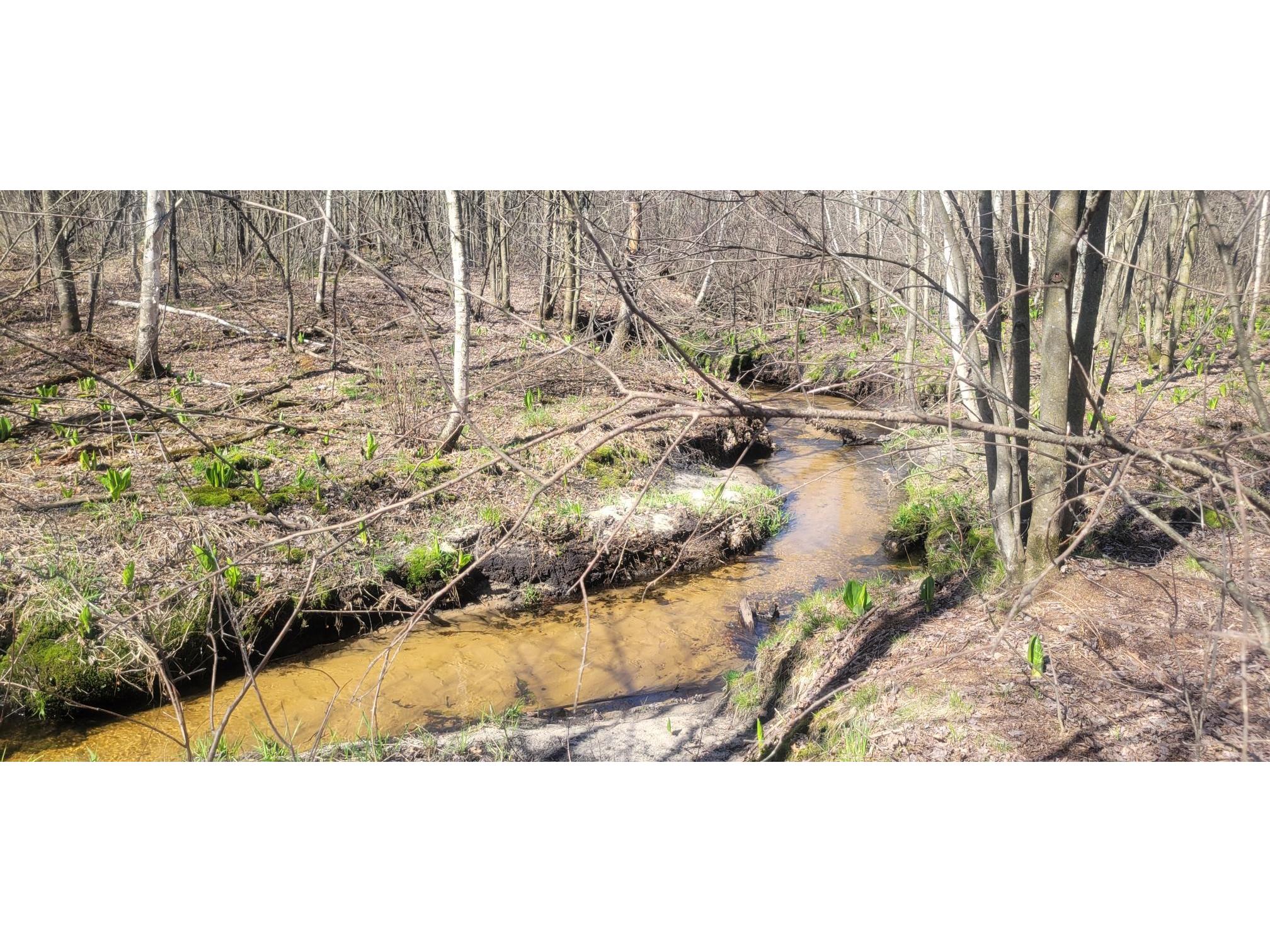 W14103 County P Highway Taylor WI 54659 - French Creek 1600415 image12