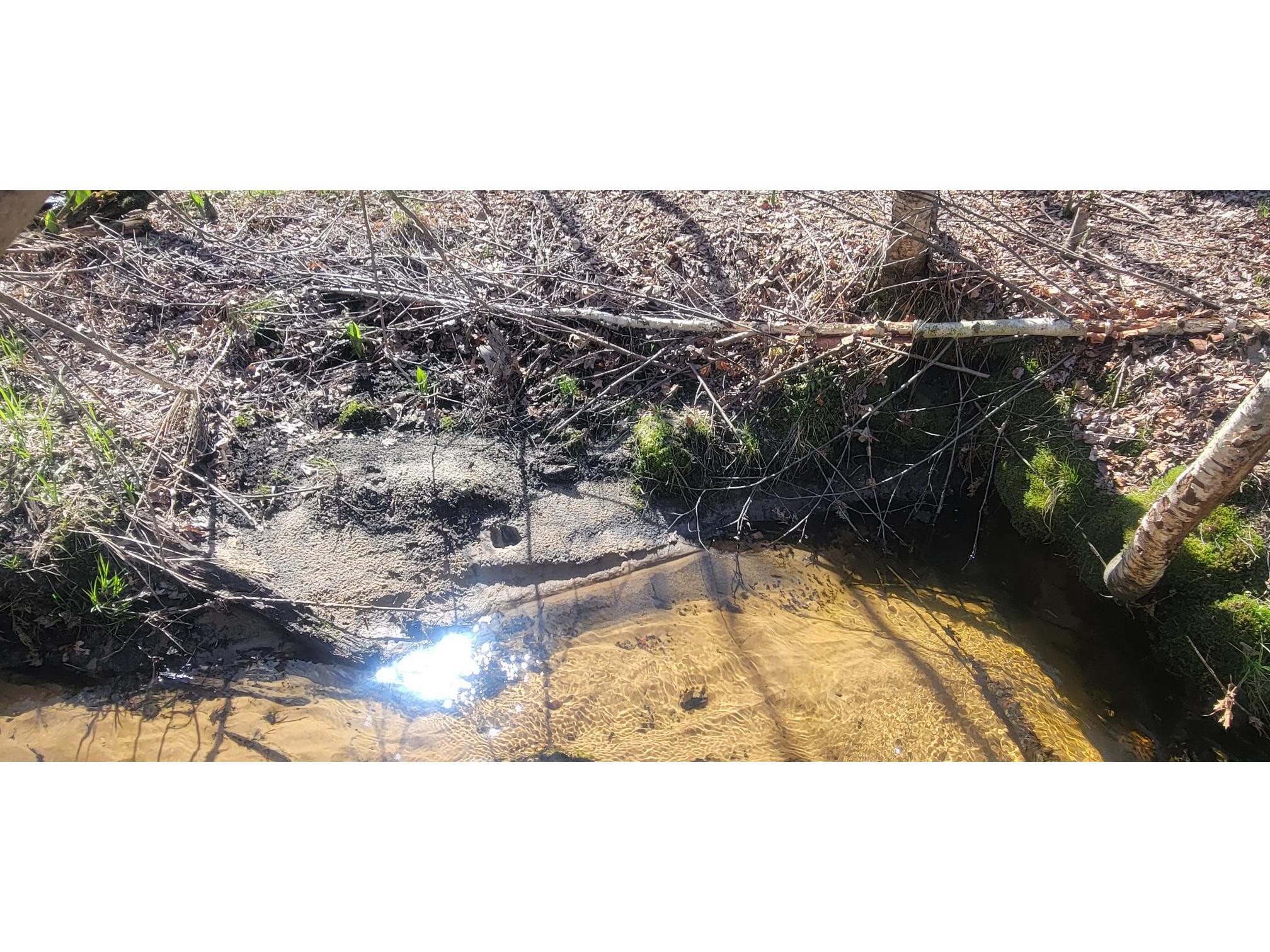 W14103 County P Highway Taylor WI 54659 - French Creek 1600415 image13