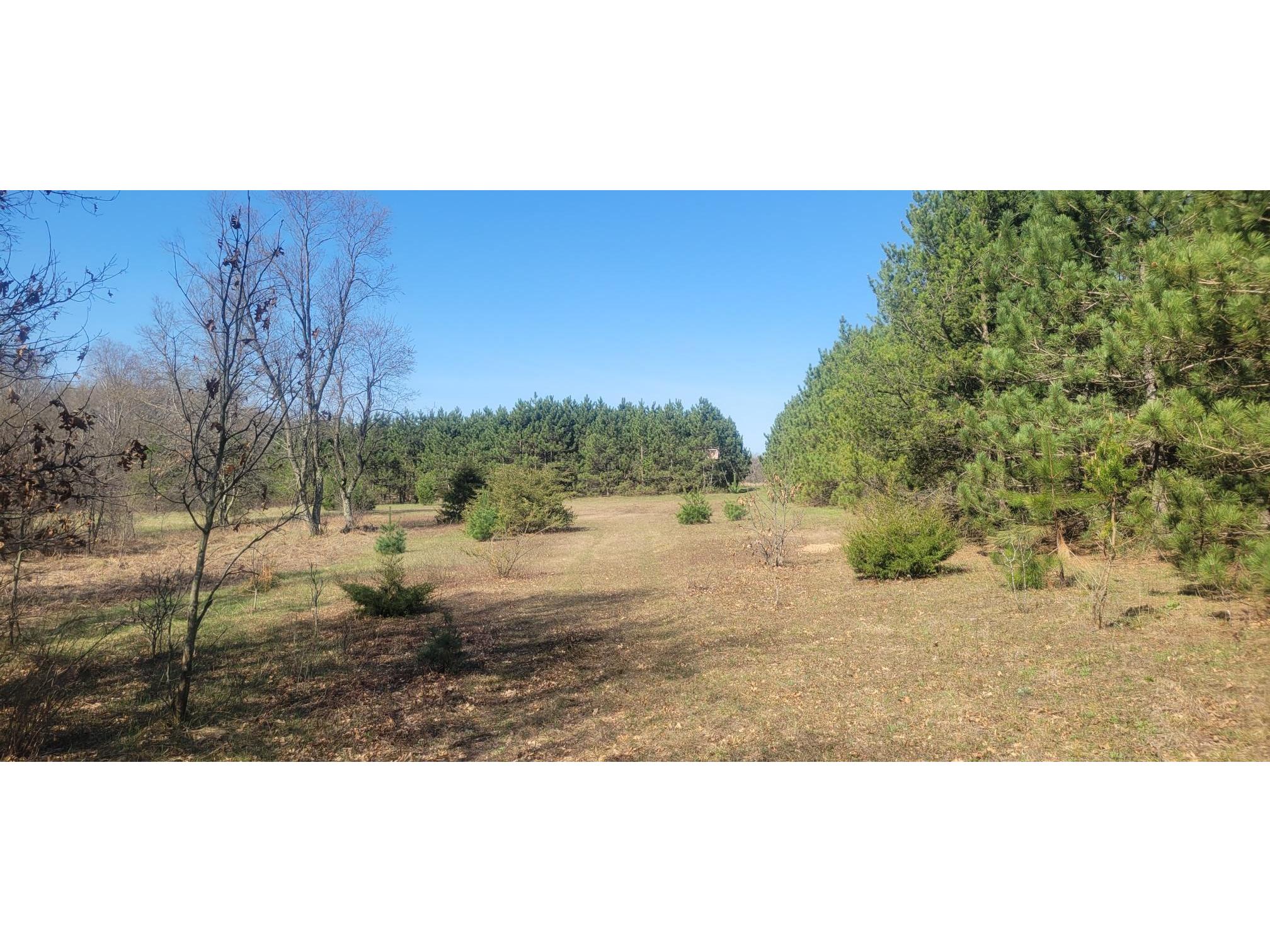 W14103 County P Highway Taylor WI 54659 - French Creek 1600415 image2