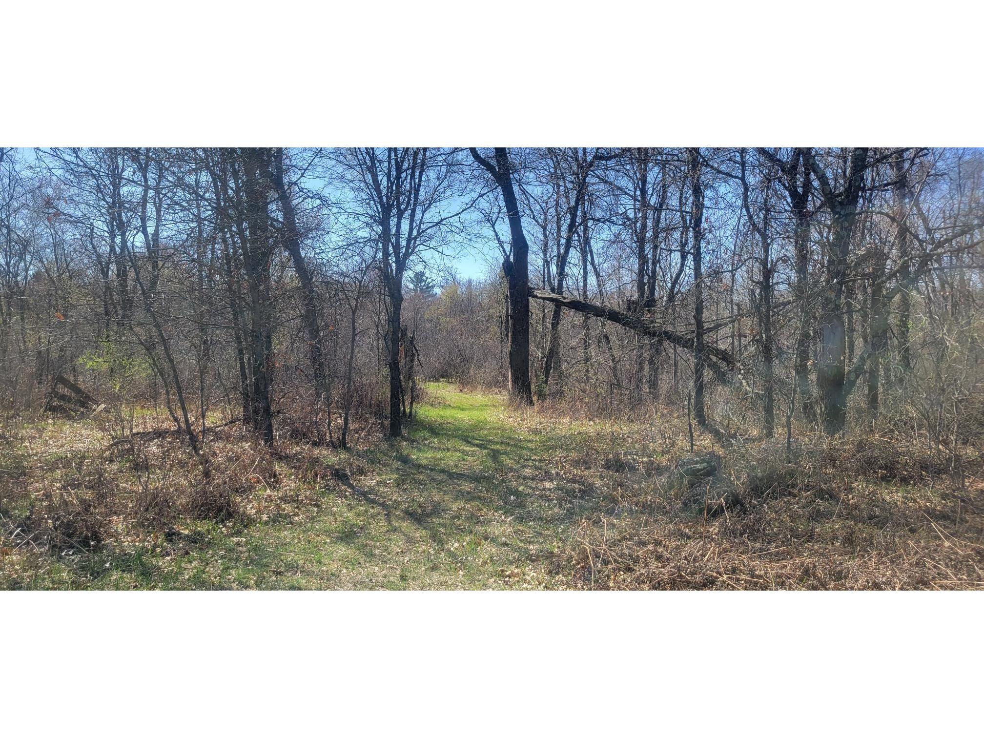 W14103 County P Highway Taylor WI 54659 - French Creek 1600415 image3