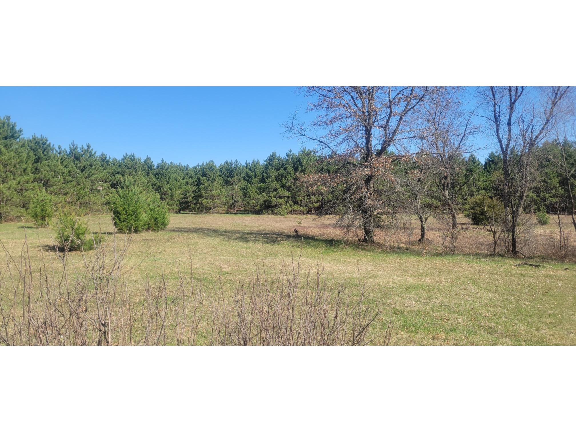 W14103 County P Highway Taylor WI 54659 - French Creek 1600415 image4