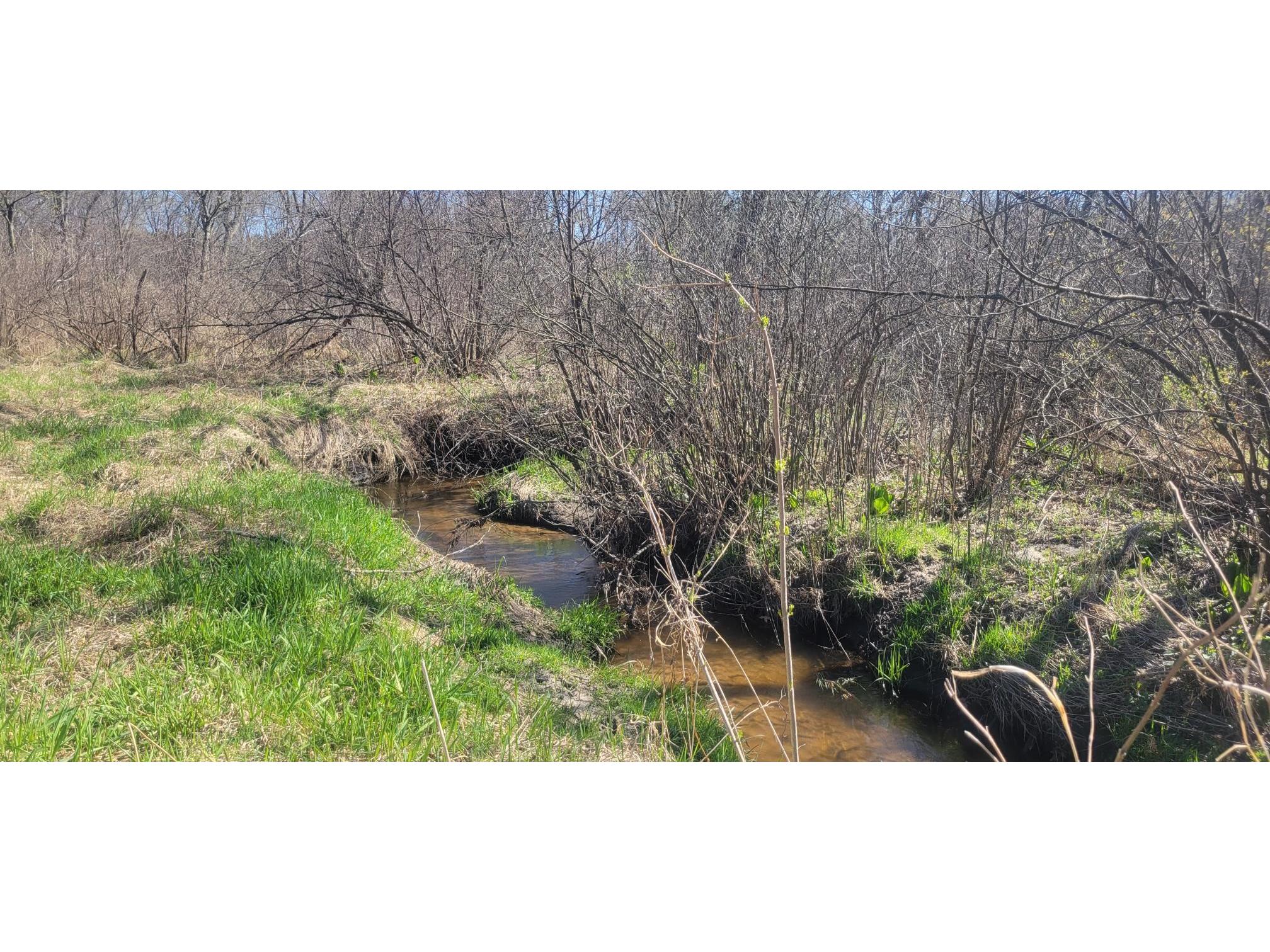 W14103 County P Highway Taylor WI 54659 - French Creek 1600415 image5
