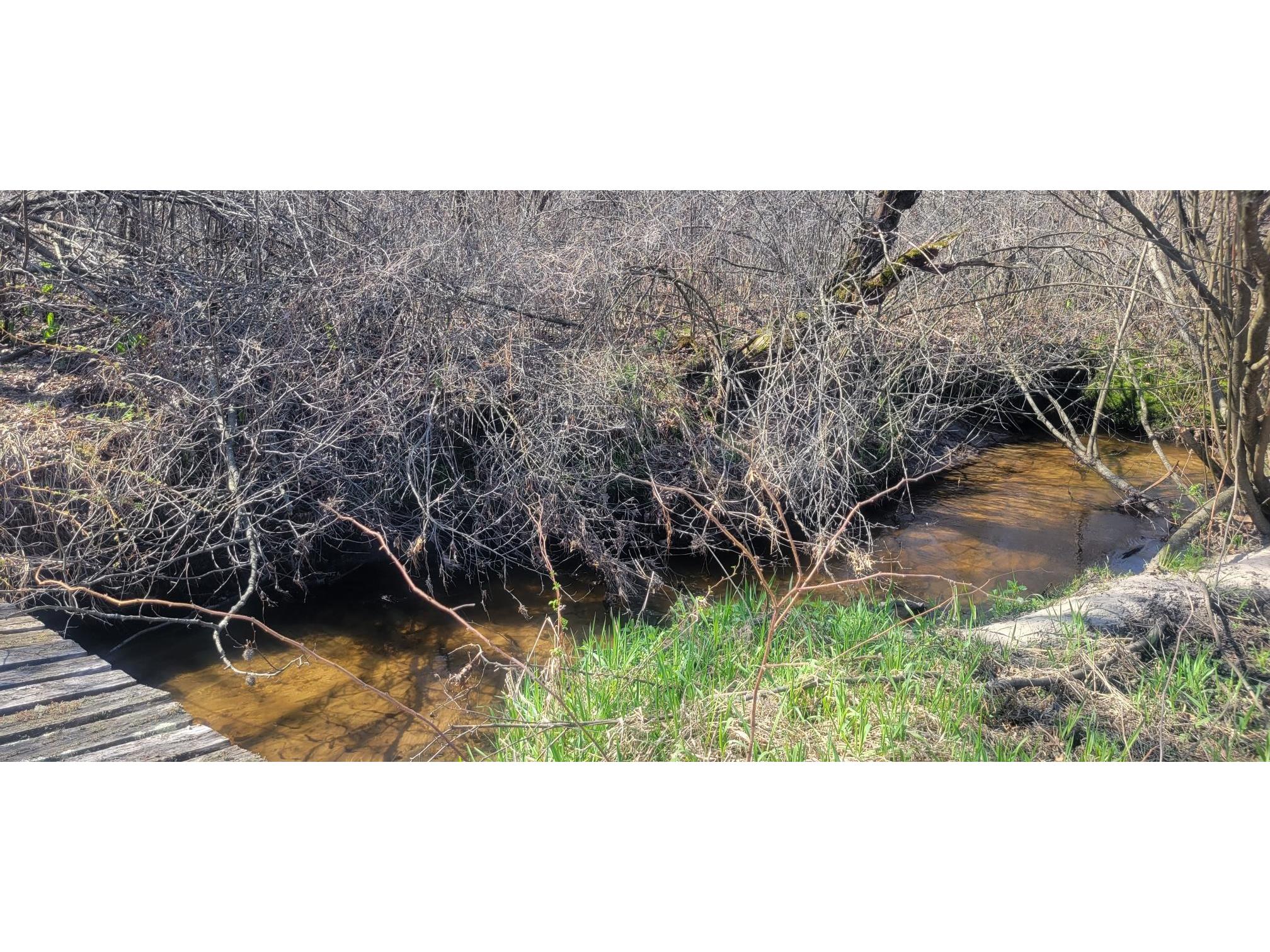 W14103 County P Highway Taylor WI 54659 - French Creek 1600415 image6