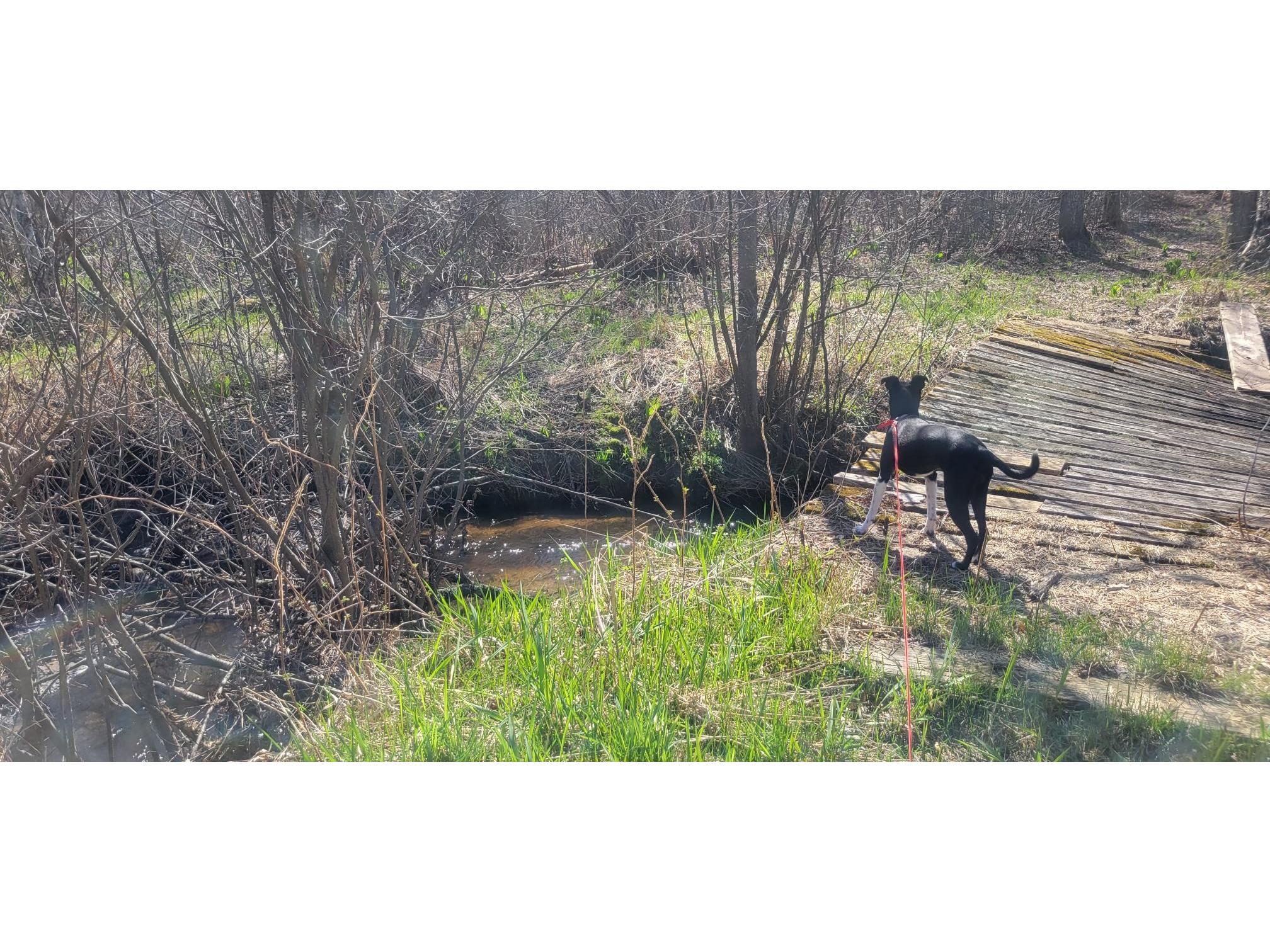 W14103 County P Highway Taylor WI 54659 - French Creek 1600415 image7