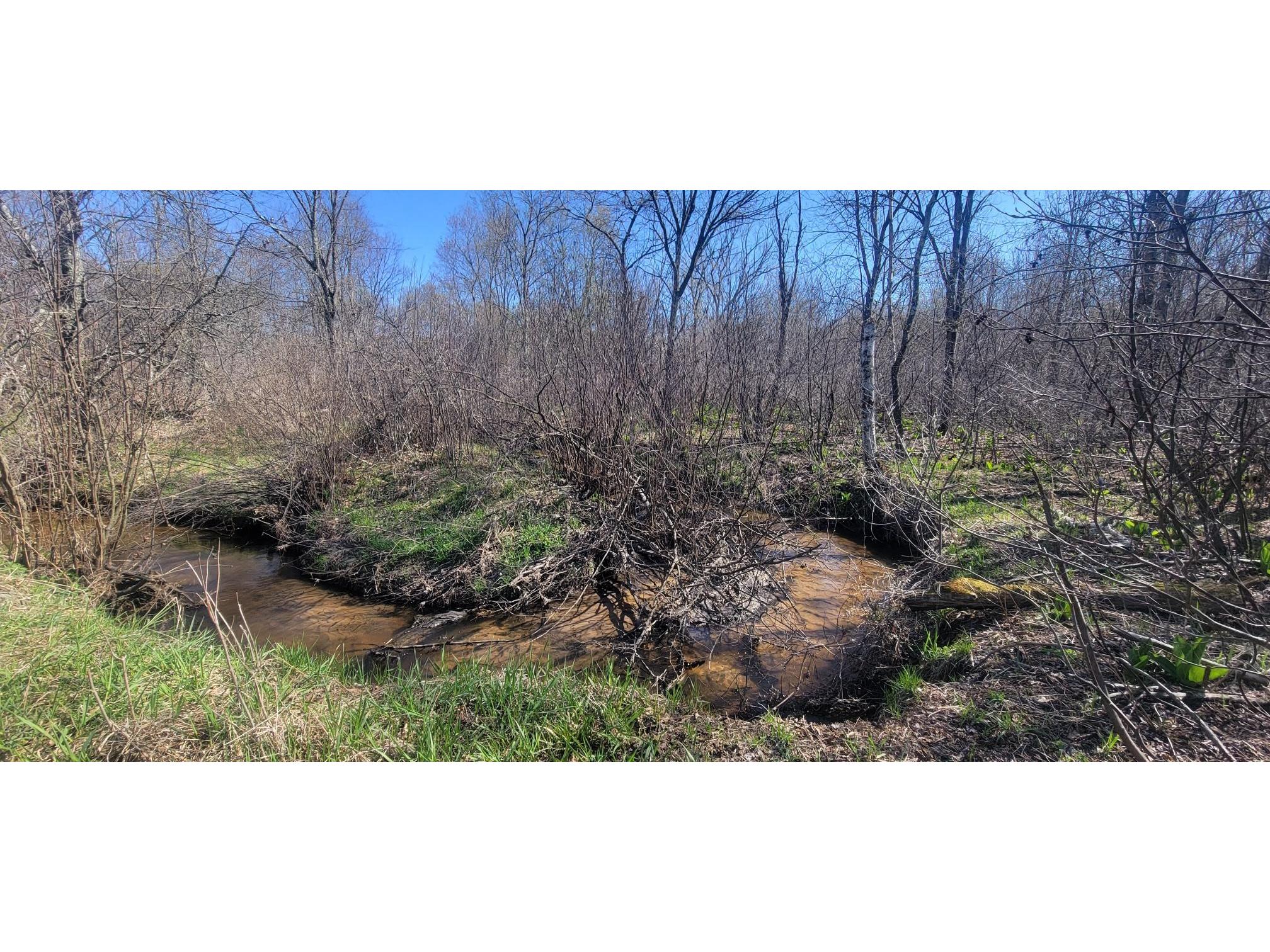 W14103 County P Highway Taylor WI 54659 - French Creek 1600415 image8