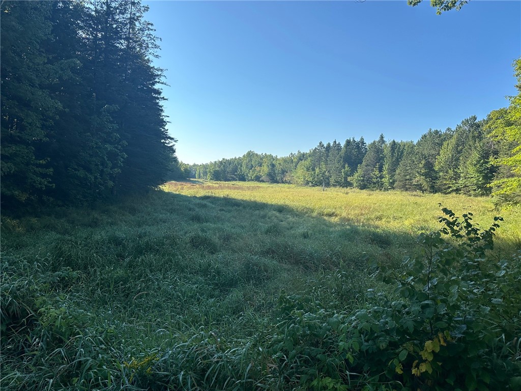 W14297 State Highway 8 Weyerhaeuser WI 54895 - POND 1595117 image47