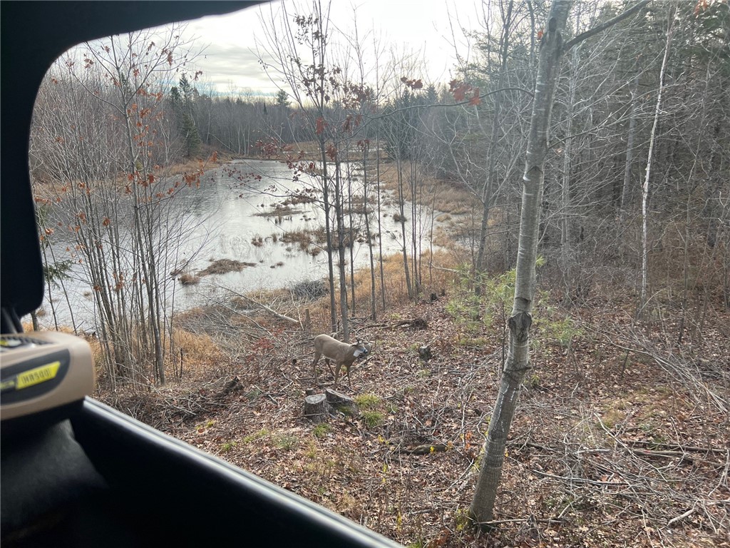 W14297 State Highway 8 Weyerhaeuser WI 54895 - POND 1595117 image49