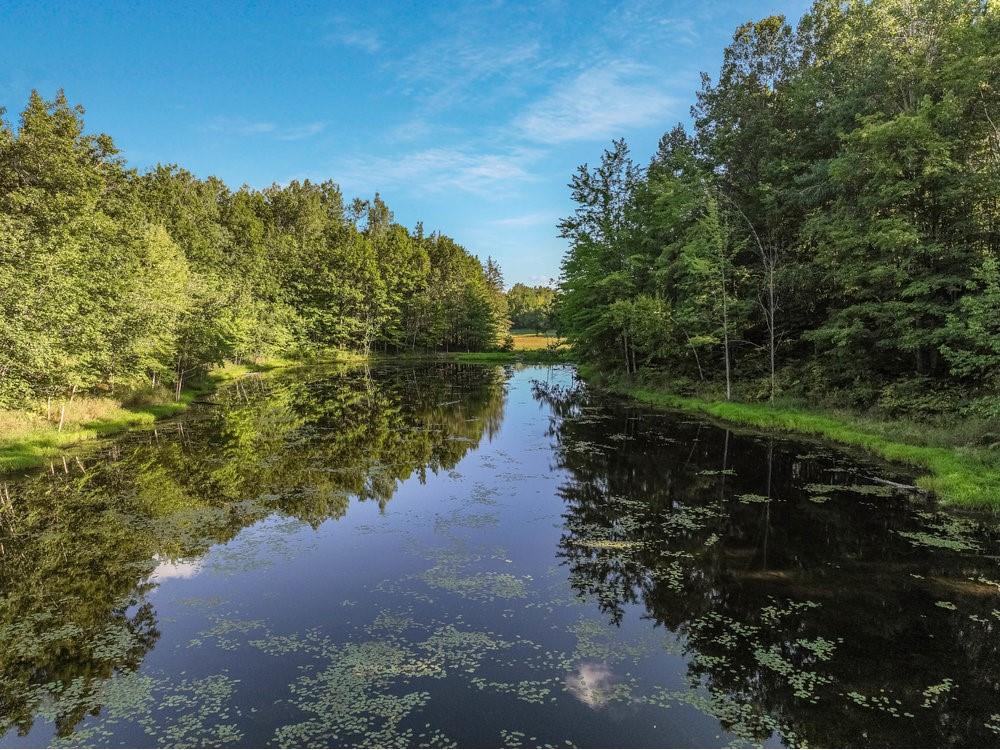 W14297 State Highway 8 Weyerhaeuser WI 54895 - POND 1595117 image5