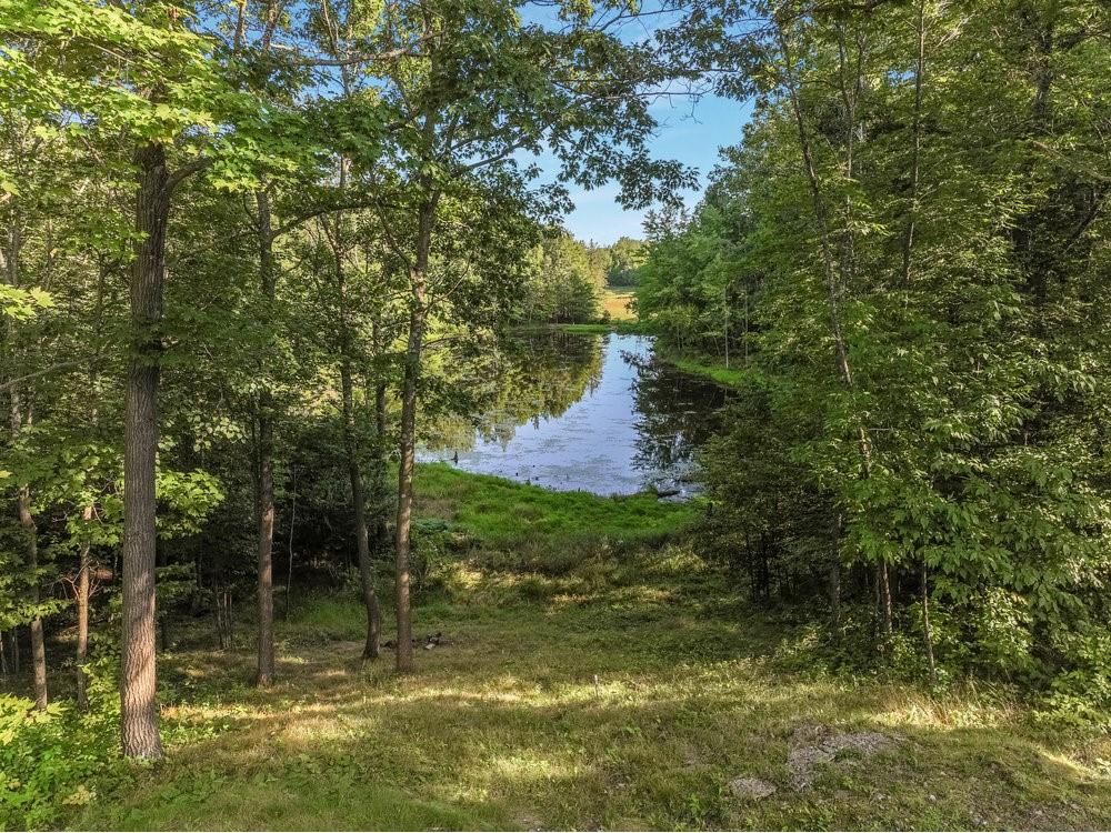 W14297 State Highway 8 Weyerhaeuser WI 54895 - POND 1595117 image6