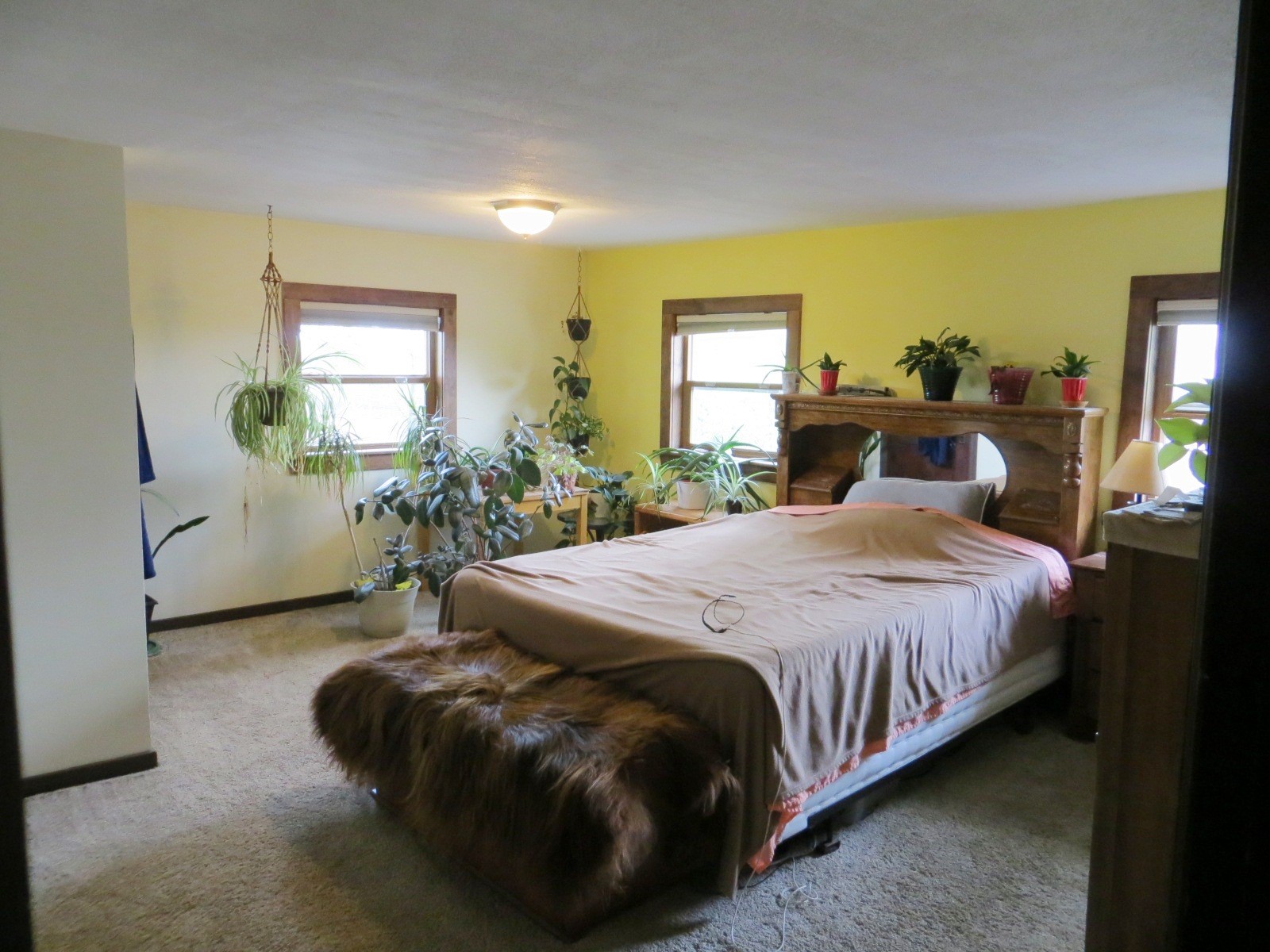 W14531 Polley Lane Gilman WI 54433 1601299 image22