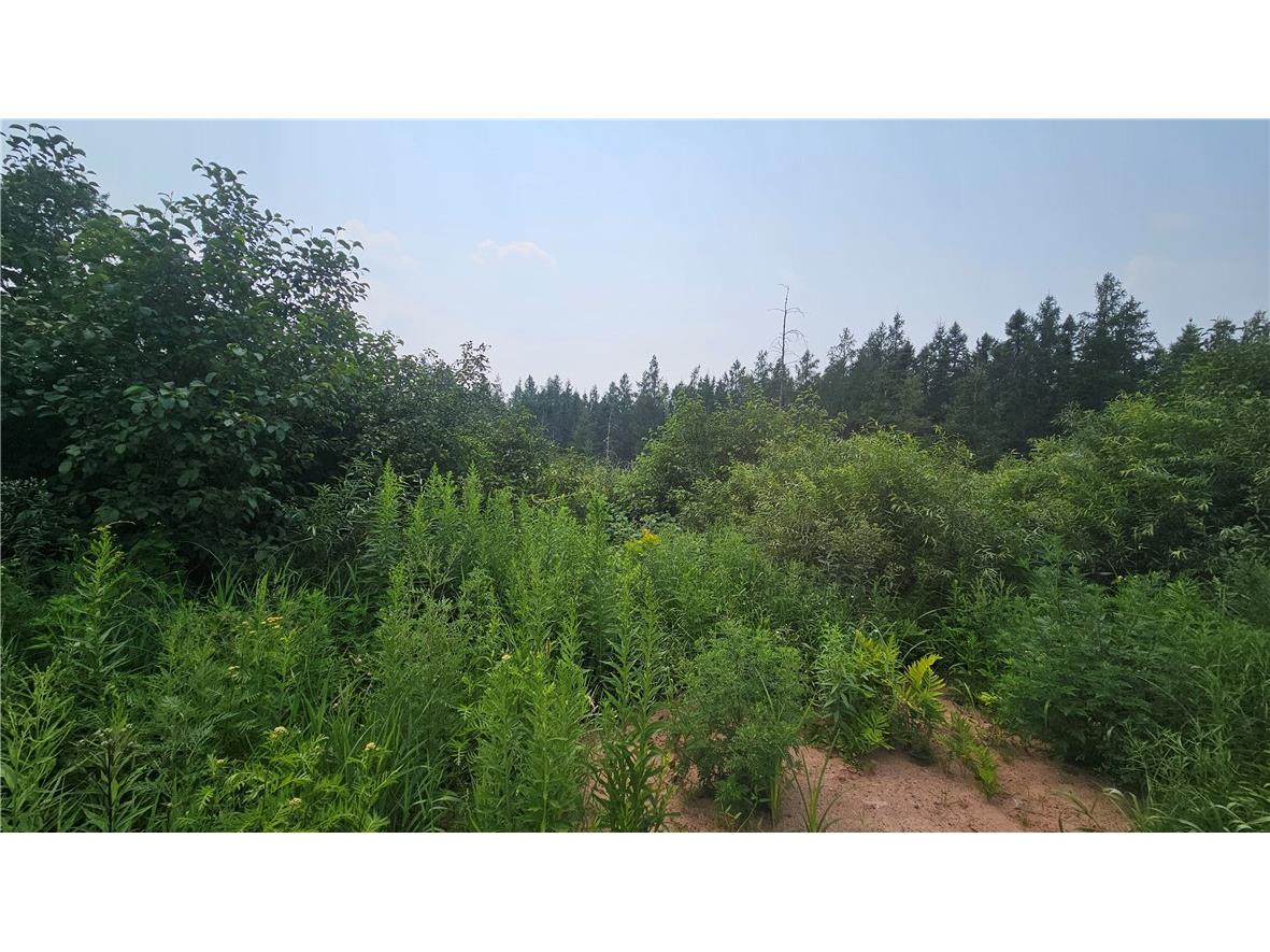 W1455 County Road E Springbrook WI 54875 1594096 image11