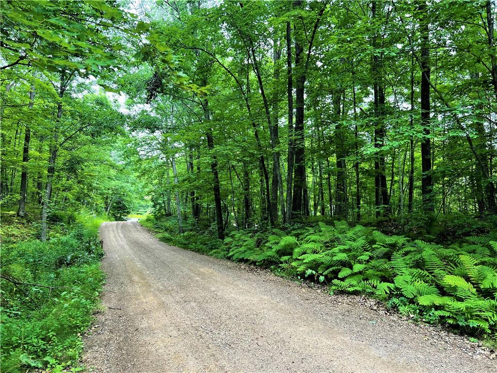 W16188 Whiting Way Birchwood WI 54817 1575962 image1