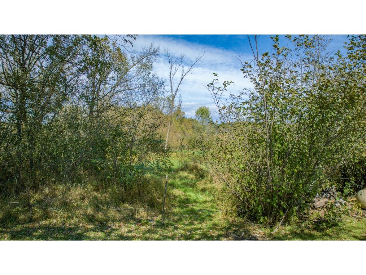 W16396 County Rd C Taylor WI 54659 1596283 image19