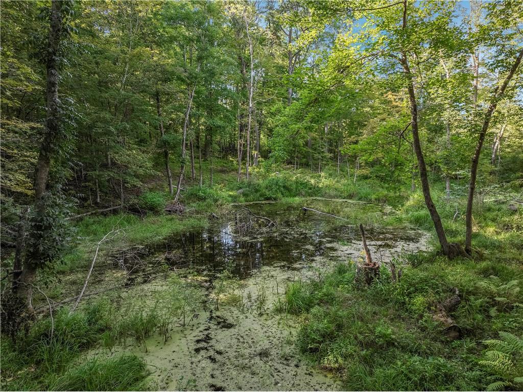 W16694 Hogback Road Chetek WI 54728 1594958 image34