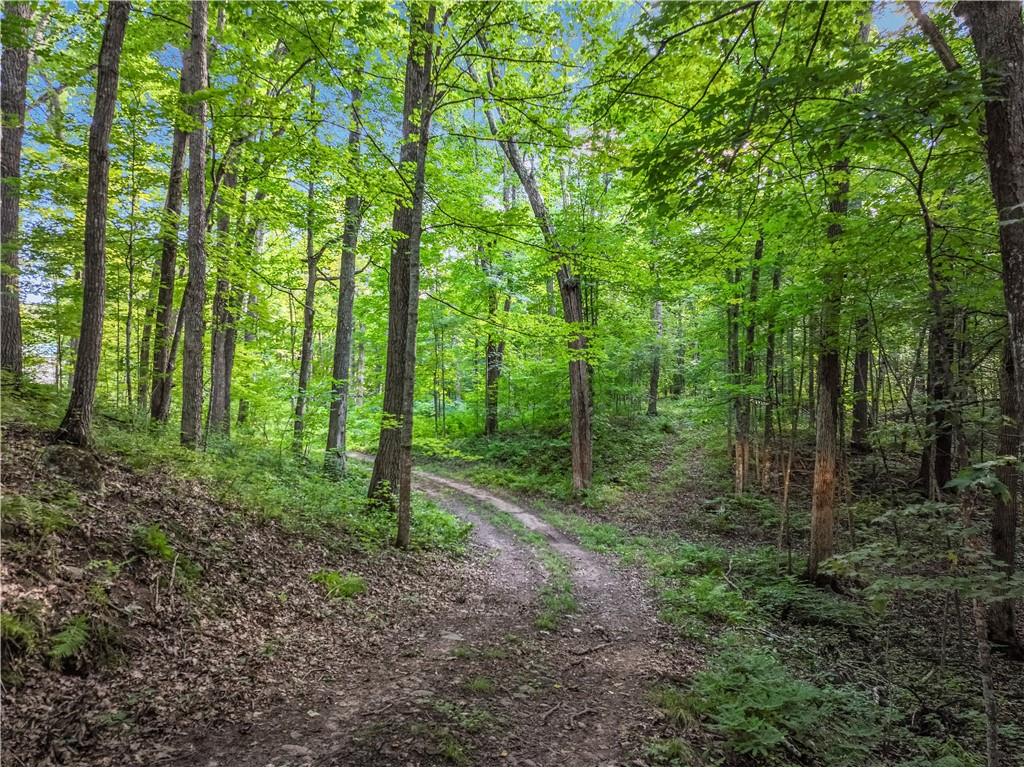 W16694 Hogback Road Chetek WI 54728 1594958 image42