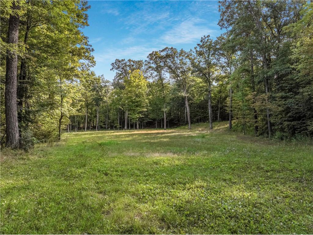 W16694 Hogback Road Chetek WI 54728 1594958 image43