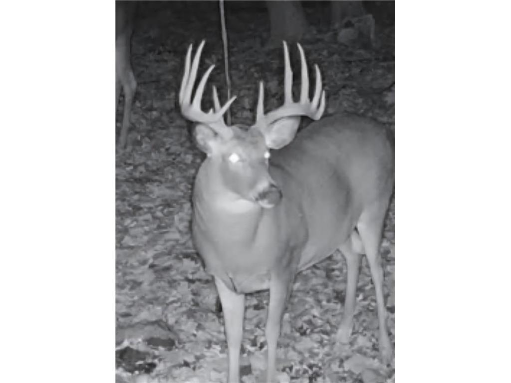 W16694 Hogback Road Chetek WI 54728 1594958 image50