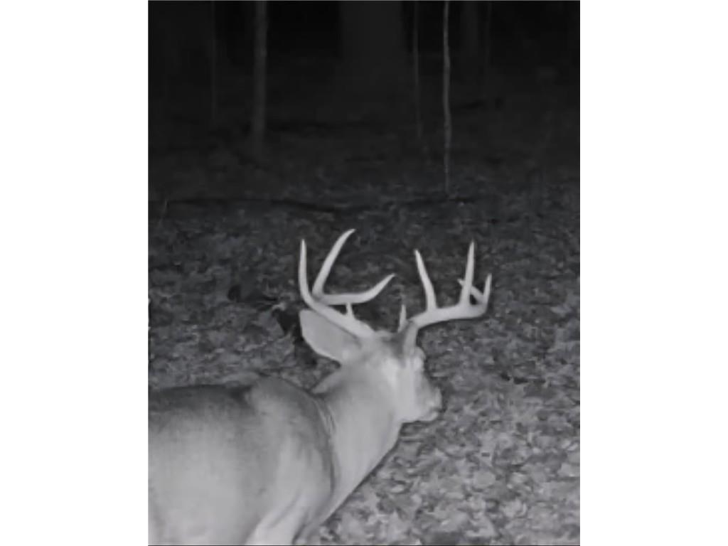 W16694 Hogback Road Chetek WI 54728 1594958 image51