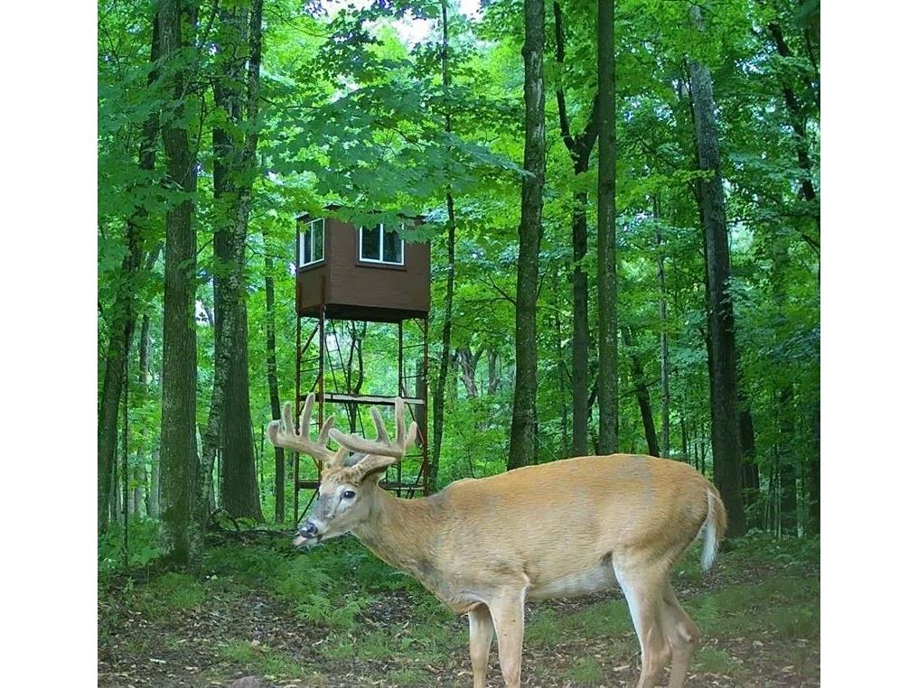 W16694 Hogback Road Chetek WI 54728 1594958 image54