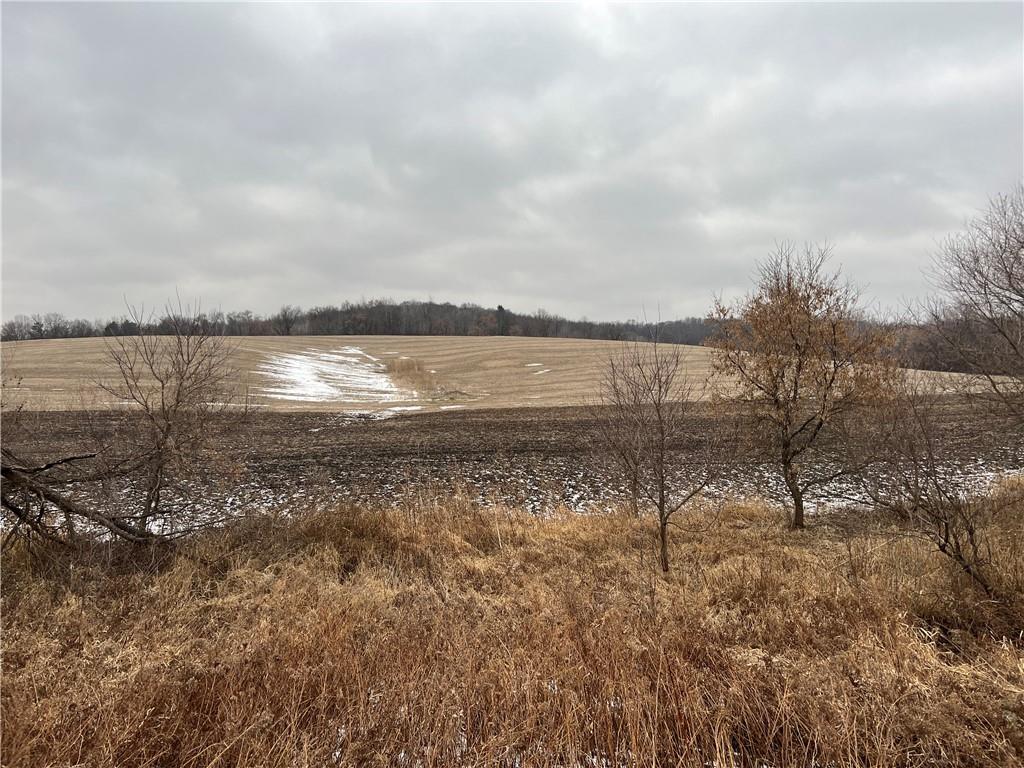 W22924 Erickson Road Strum WI 54770 1570413 image1