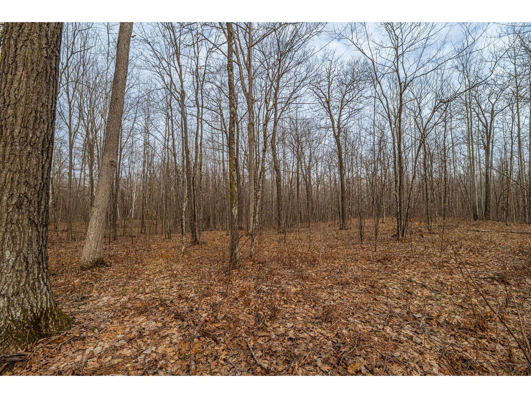 W2294 Highway 70 Spooner WI 54801 1599540 image9