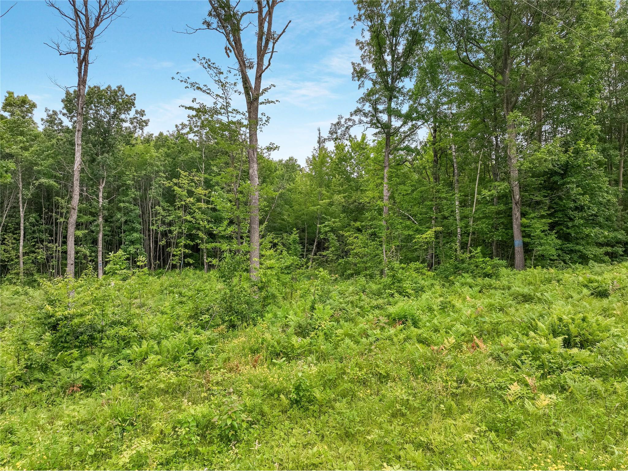 W2294 Highway 70 Spooner WI 54801 1599543 image29