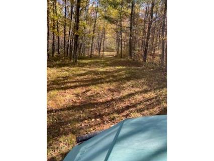 W2294 Highway 70 Spooner WI 54801 1599543 image44