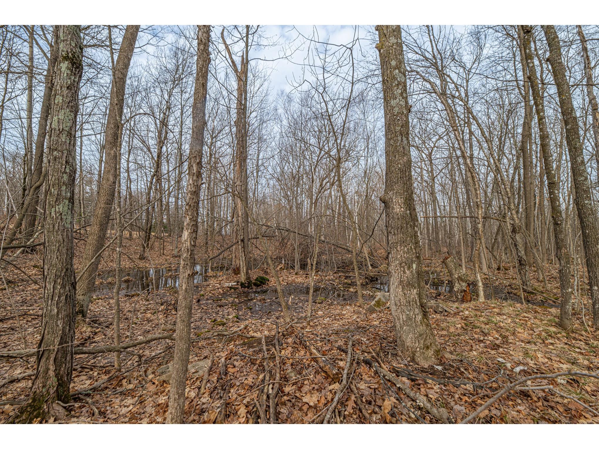 W2294 Highway 70 Spooner WI 54801 1599543 image7