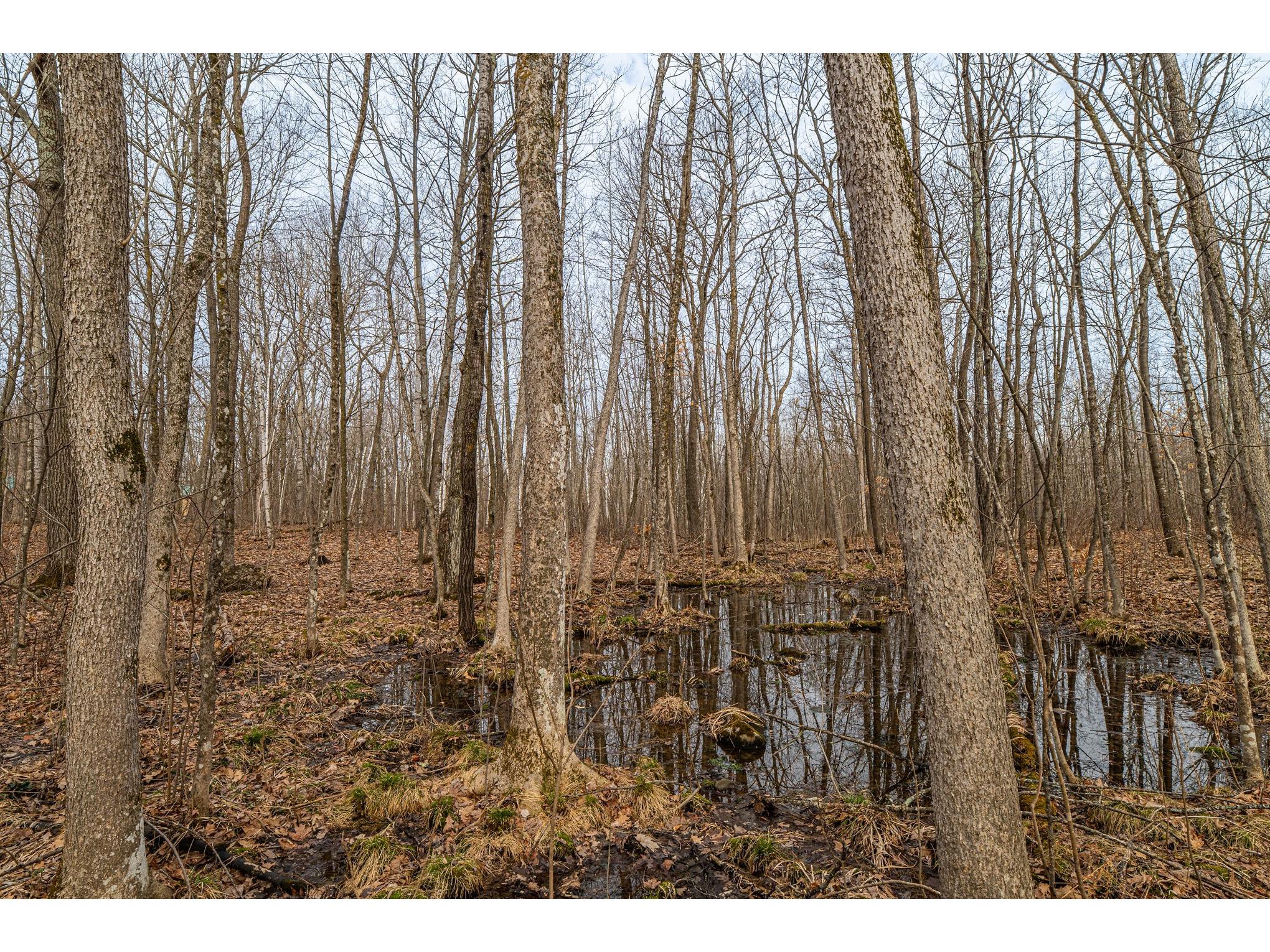 W2294 Highway 70 Spooner WI 54801 1599543 image8