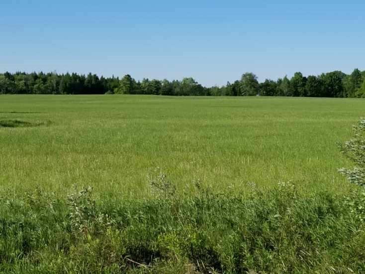 W2749 Fawn Avenue Rib Lake WI 54470 1571364 image1