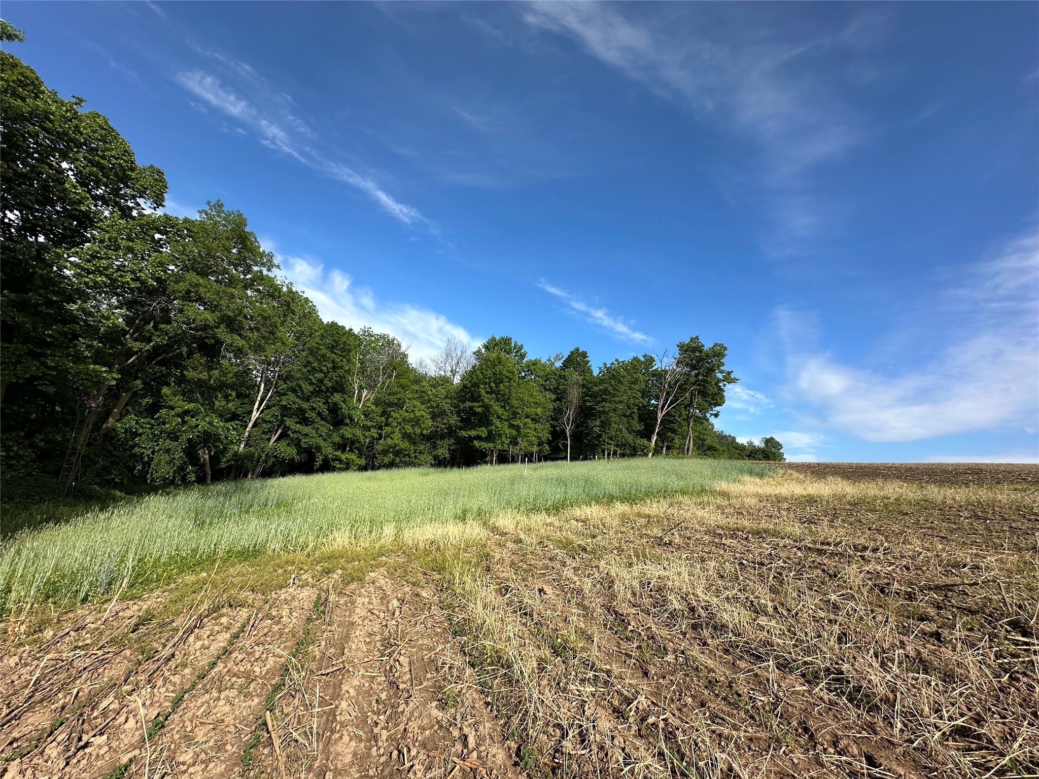 W325 50th Avenue Plum City WI 54761 1602013 image11