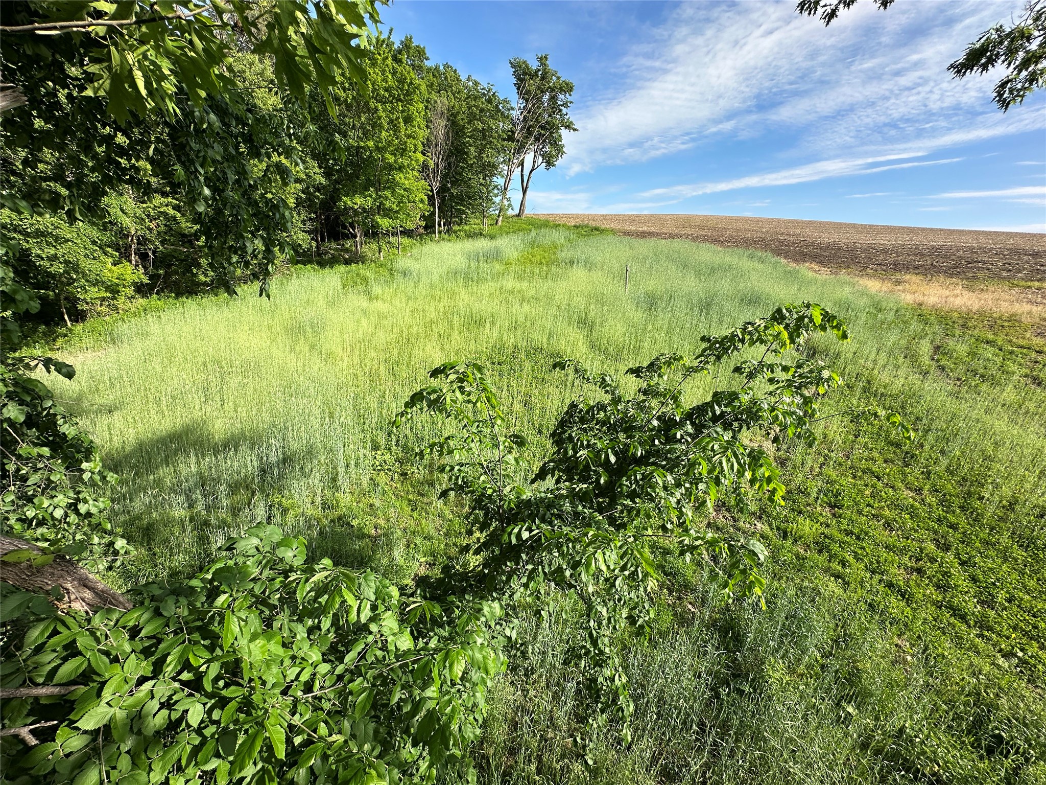 W325 50th Avenue Plum City WI 54761 1602013 image14
