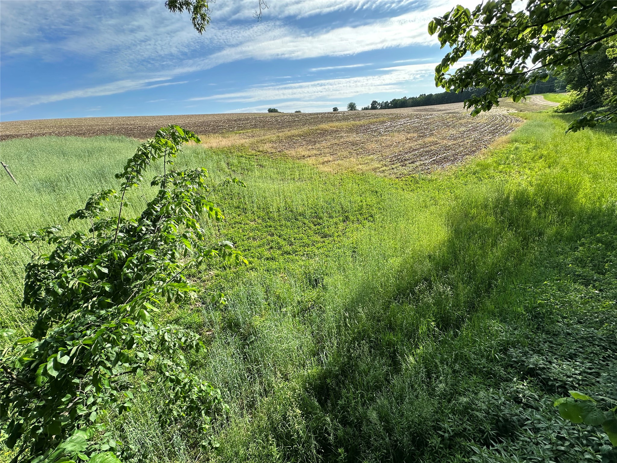 W325 50th Avenue Plum City WI 54761 1602013 image21