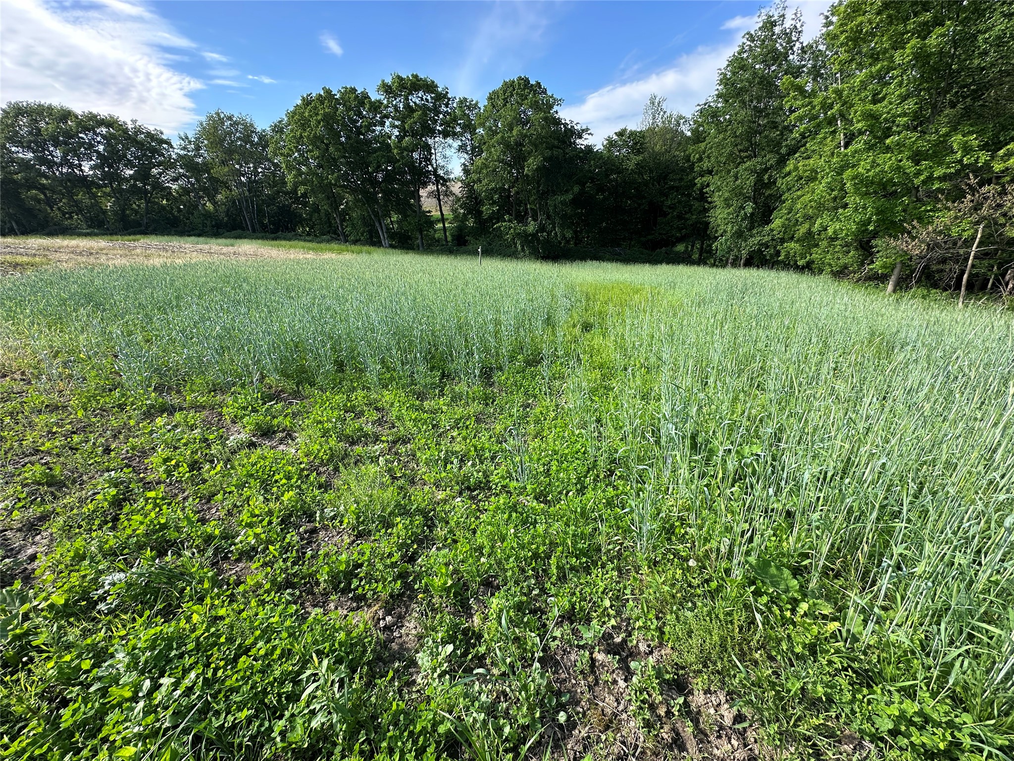 W325 50th Avenue Plum City WI 54761 1602013 image8