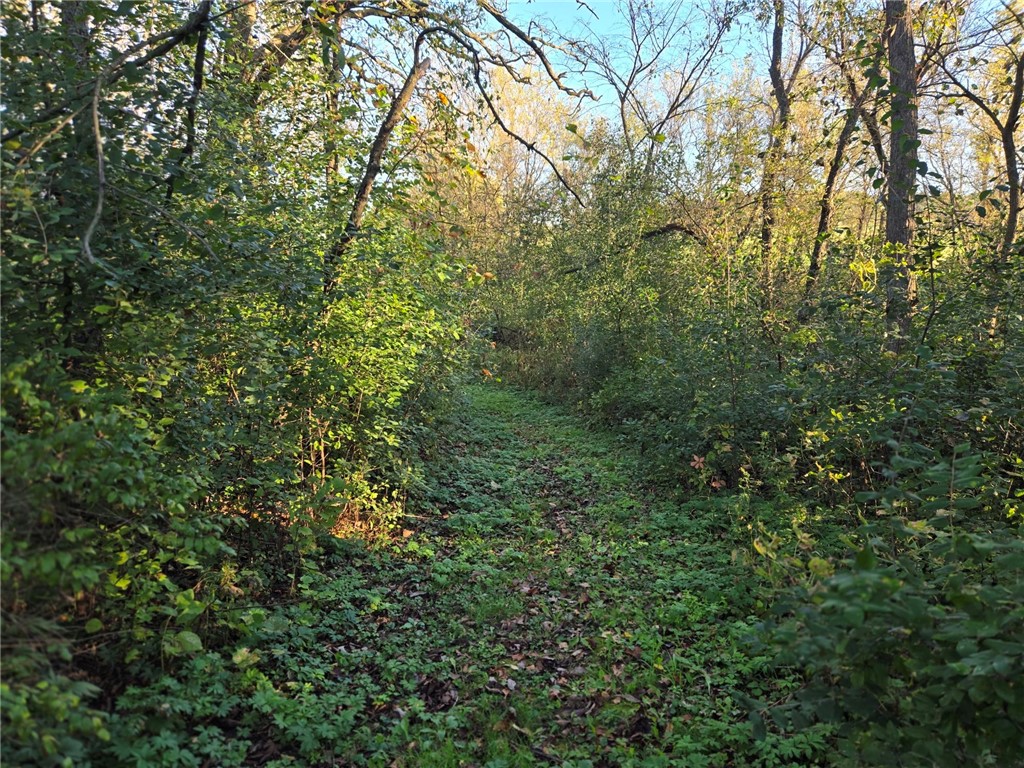 W328 State Road 121 Mondovi WI 54755 - Elk Creek 1596503 image3