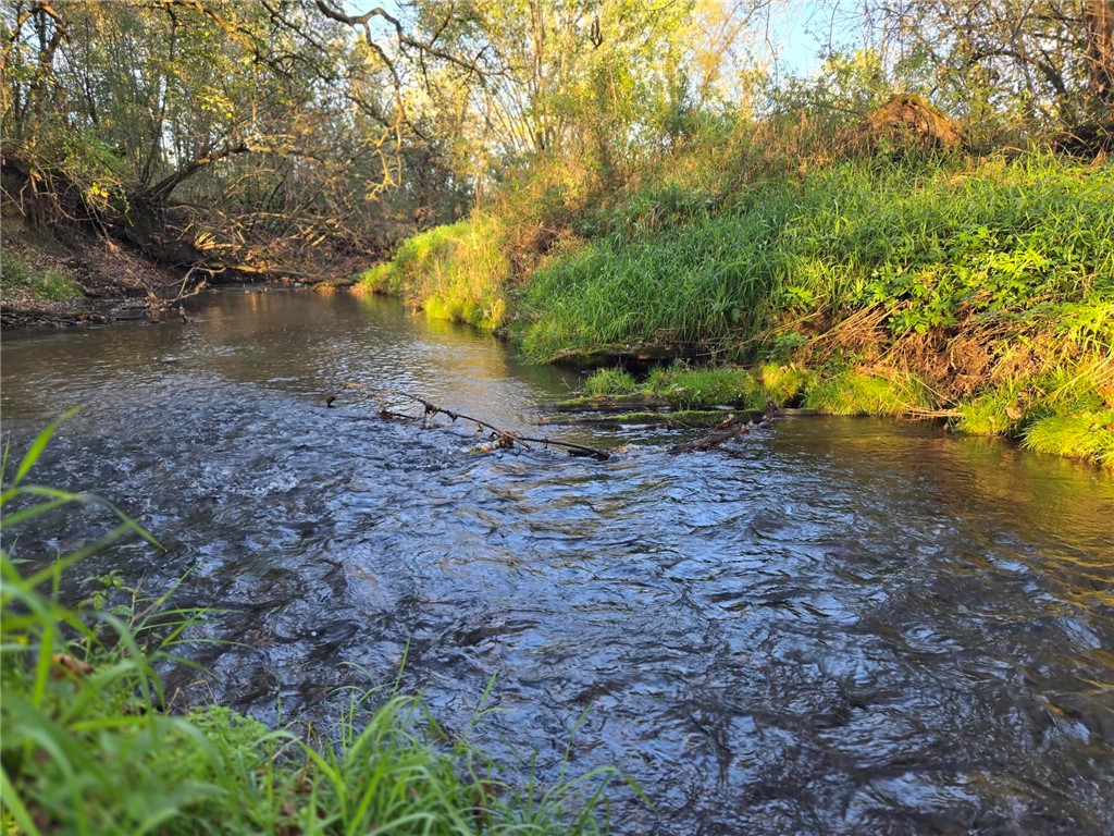 W328 State Road 121 Mondovi WI 54755 - Elk Creek 1596503 image4