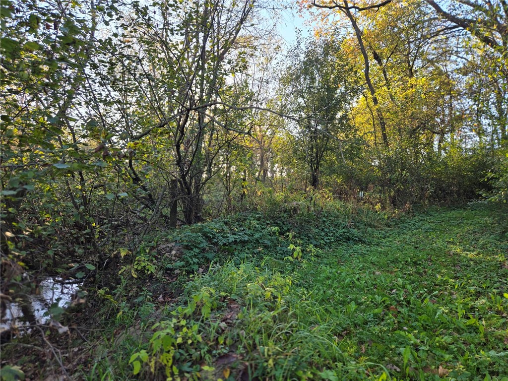 W328 State Road 121 Mondovi WI 54755 - Elk Creek 1596503 image5