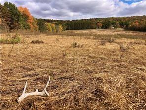 W3372 235th Avenue Maiden Rock WI 54750 1573230 image1