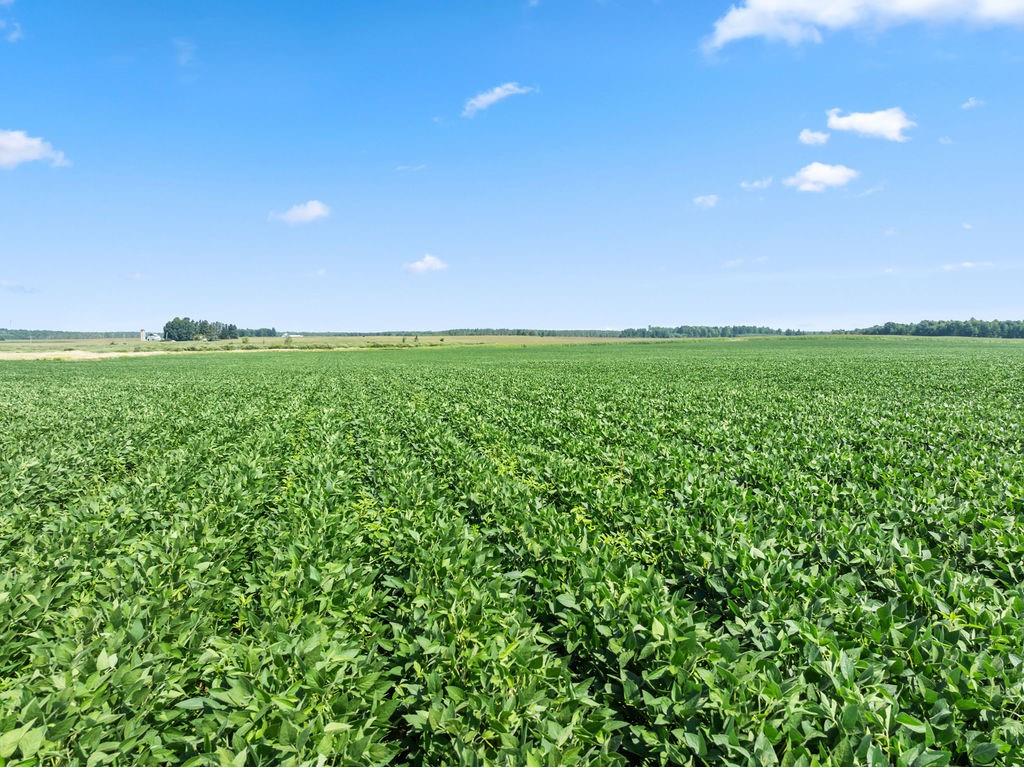 W3596 Artisan Drive Glen Flora WI 54526 1594651 image21