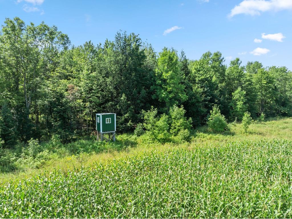 W3596 Artisan Drive Glen Flora WI 54526 1594651 image27