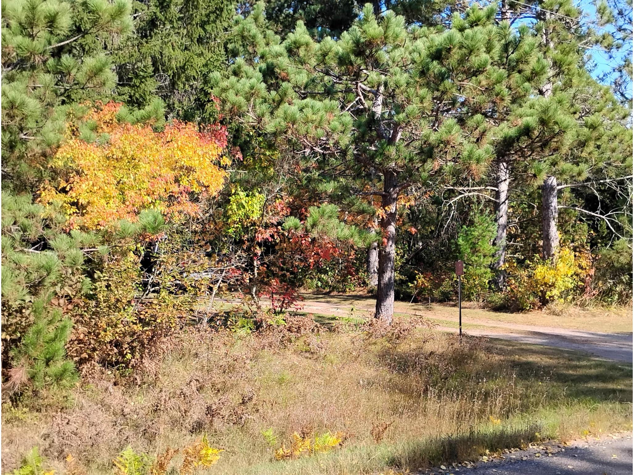 W3602 Willers Road Springbrook WI 54875 1602817 image16