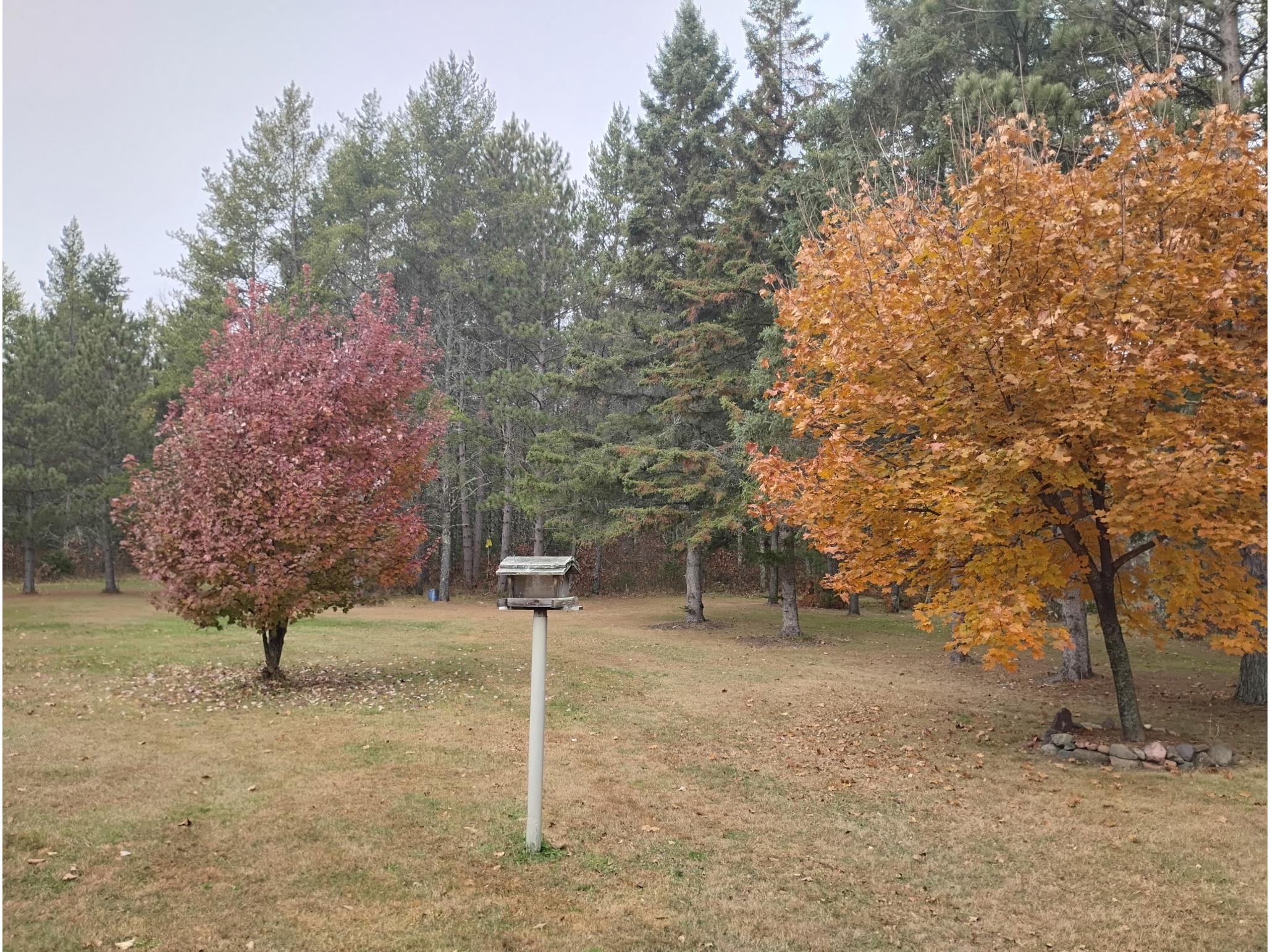 W3602 Willers Road Springbrook WI 54875 1602817 image46