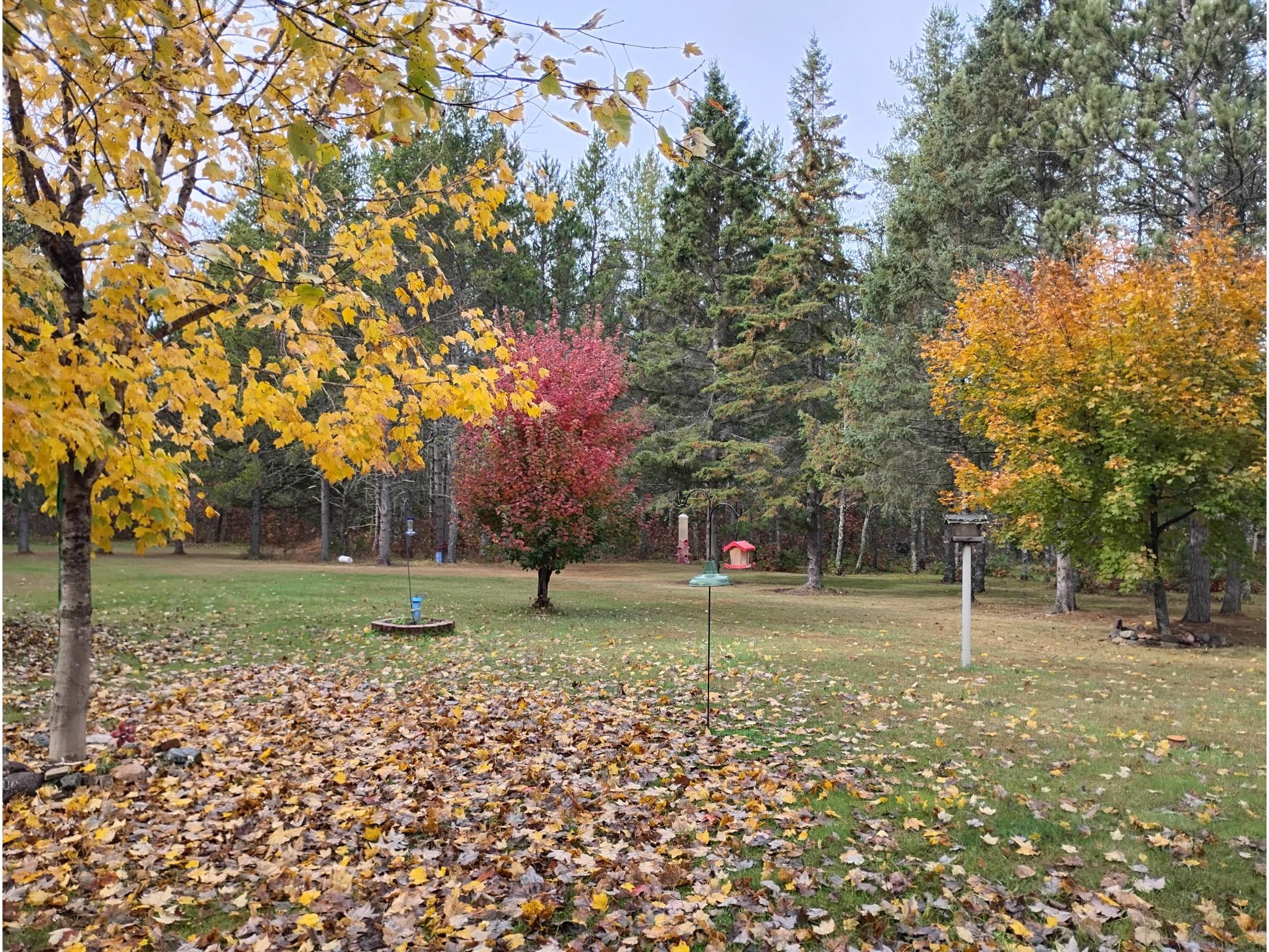 W3602 Willers Road Springbrook WI 54875 1602817 image48
