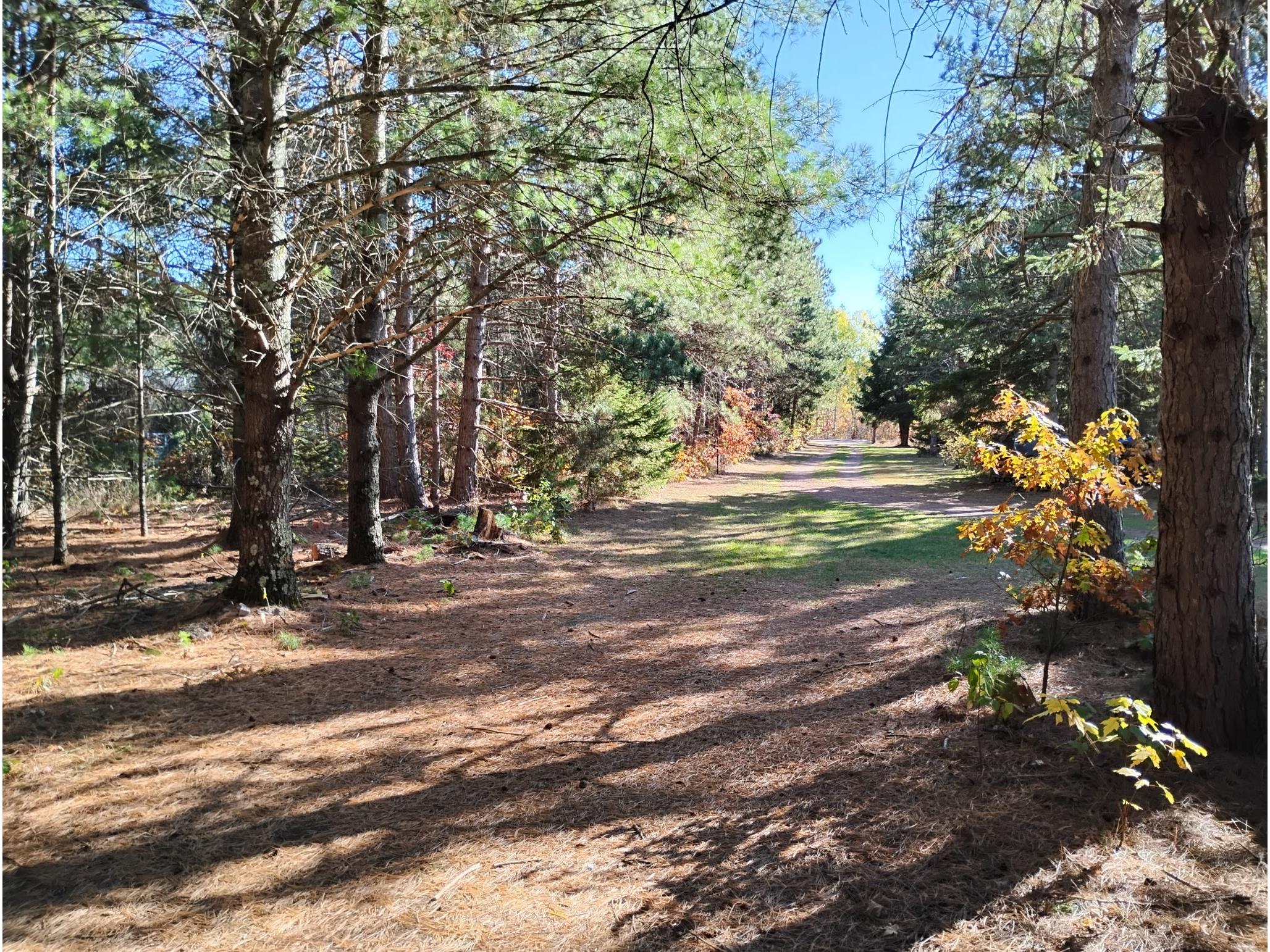 W3602 Willers Road Springbrook WI 54875 1602817 image50