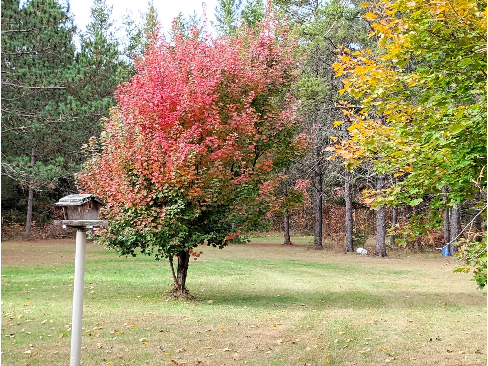 W3602 Willers Road Springbrook WI 54875 1602817 image6