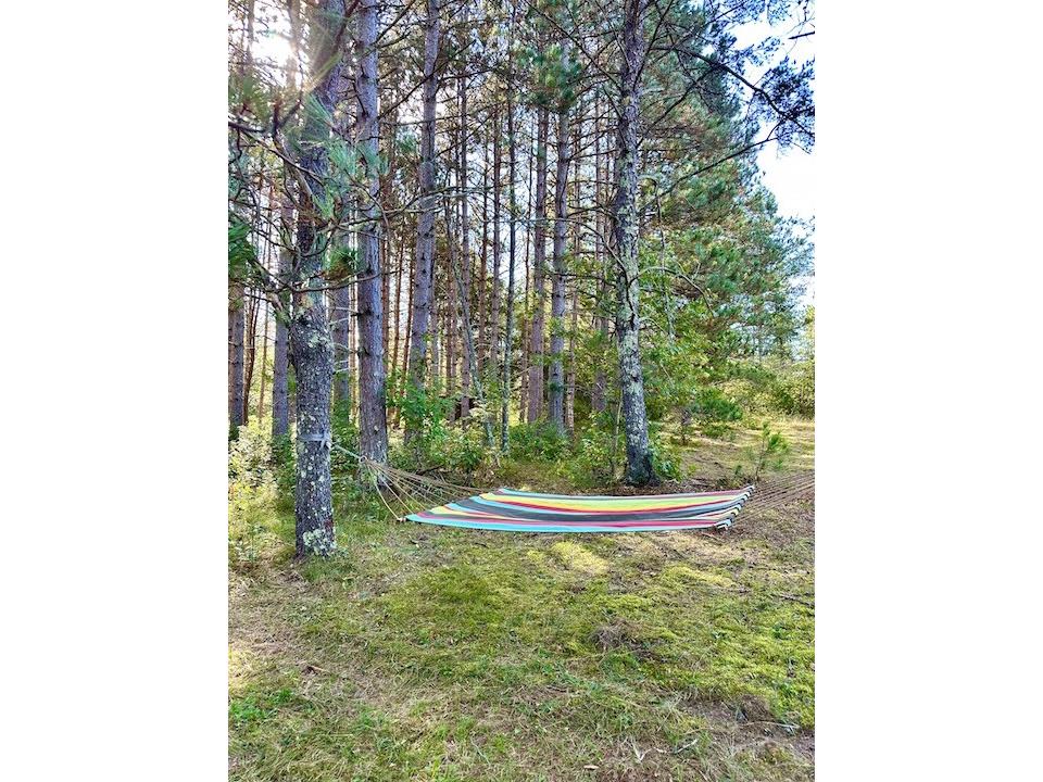 W3652 Willers Road Springbrook WI 54875 1595682 image44