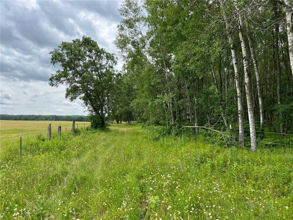 W37XX Frog Creek Road Minong WI 54859 - Frog Creek 1567027 image30