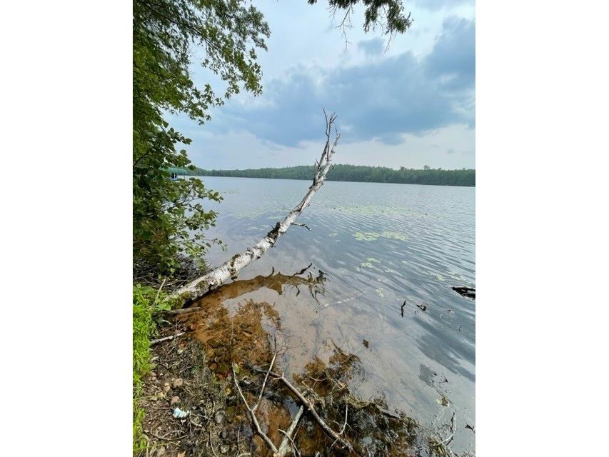 W3943 Devils Lake Road Sarona WI 54870 - Big Devils Lake 1575542 image1