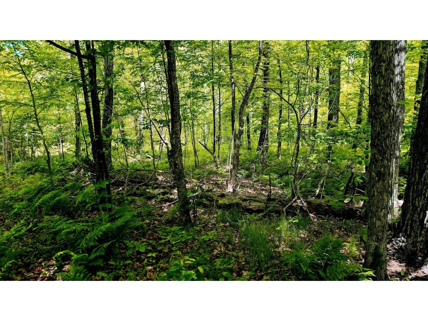 W4241 Walrath Road Glen Flora WI 54526 1601860 image42