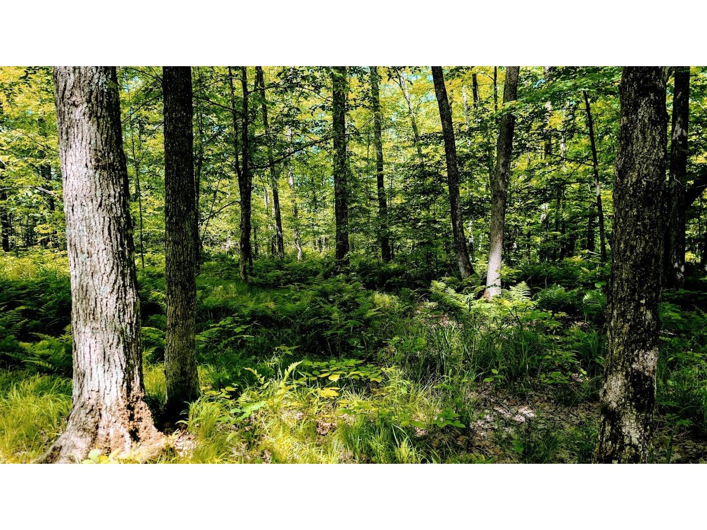 W4241 Walrath Road Glen Flora WI 54526 1601860 image44